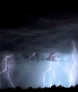 storm damage Tampa